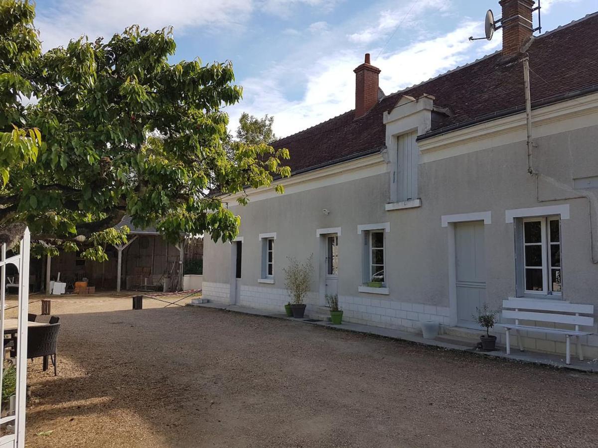 Gite Caves De Beauval Saint-Aignan  Exterior foto